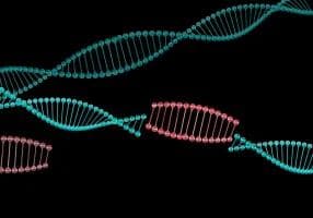 Jumping Genes (Horizontal Gene Transfer)