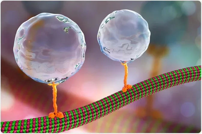 Molecular Machines